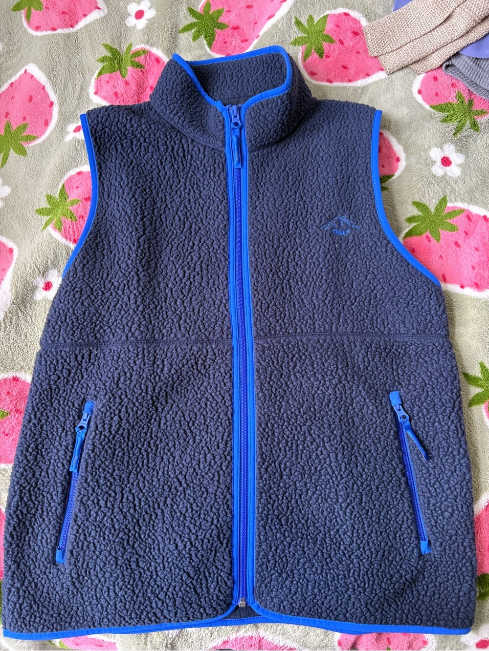 Aritzia TNA Polartec Thermal Pro Mockneck Vest